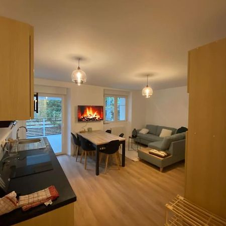 Appartement Chaleureux Au Pied Des Pistes Orbey Eksteriør billede