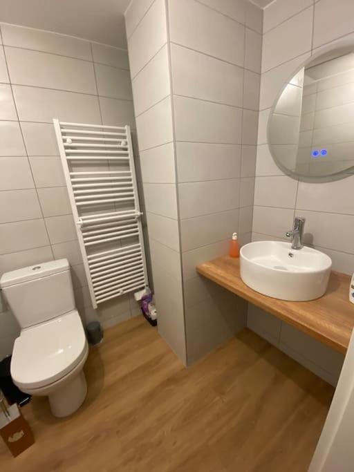 Appartement Chaleureux Au Pied Des Pistes Orbey Eksteriør billede