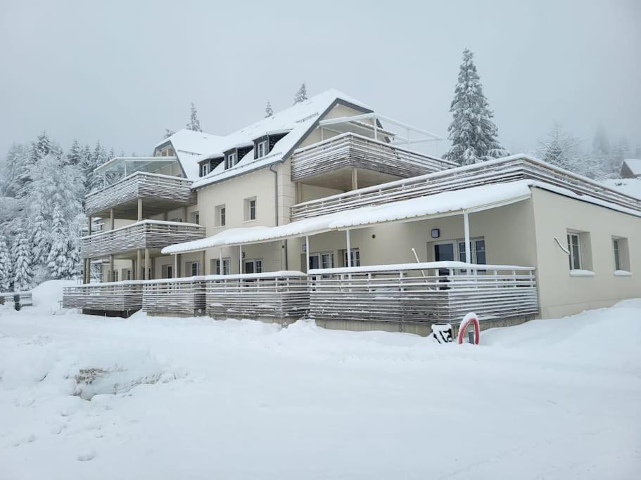 Appartement Chaleureux Au Pied Des Pistes Orbey Eksteriør billede