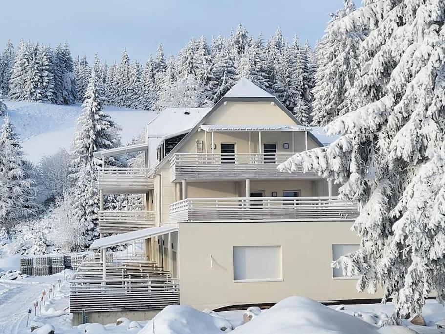 Appartement Chaleureux Au Pied Des Pistes Orbey Eksteriør billede